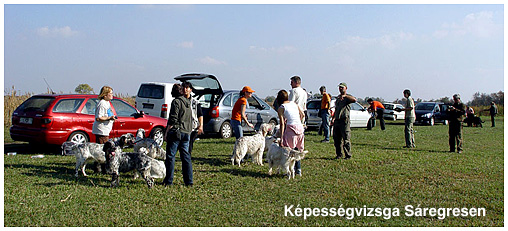 Kpessgvizsga Sregres 2008. 10. 11.