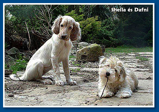 Sheila and Dafni in 2005, March