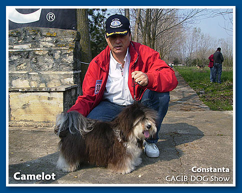 Camelot, 2010. Apryl 10.