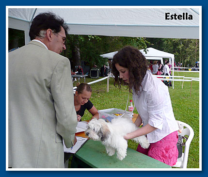 Estella a Nagyvázsonyi CAC kiállításon