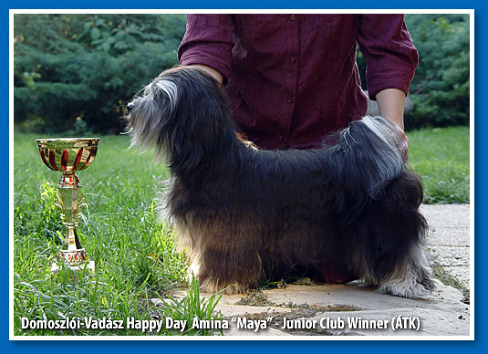 Maya at 10 months old - Junior Club Winner